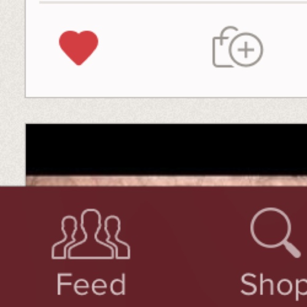 Meet your Posher, Liz